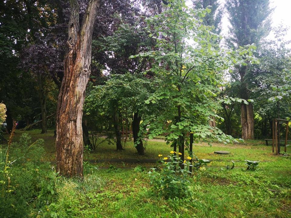 Appartamento Apartament Wroblewski Danzica Esterno foto